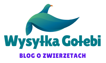 Wysyłka Gołębi